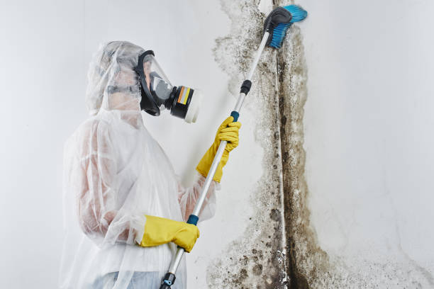 Water Damage Restoration in Greenwood, LA