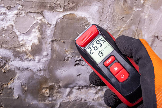 Best Mold Testing  in Greenwood, LA